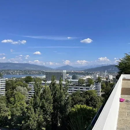 Wide, Bright And Quiet Loft Geneva